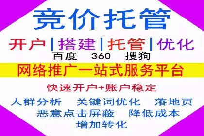 行业领先企业如何通过SEM推广代运营提升业绩
